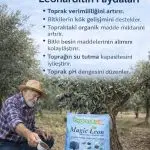 Zeytin Gübreleme