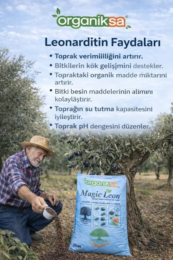 Zeytin Gübreleme